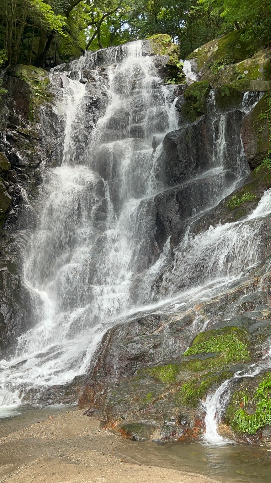 白糸の滝 福岡 オファー ペット