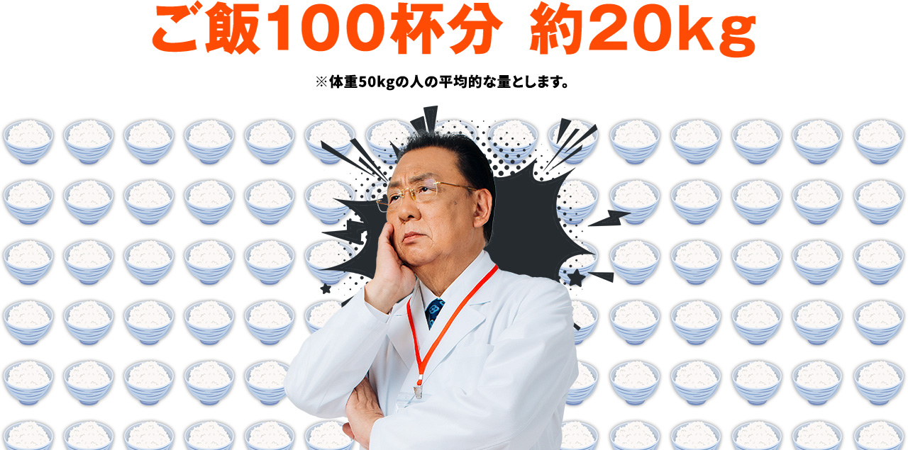 ご飯100杯分 約20kg ※体重50kgの人の平均的な量とします。